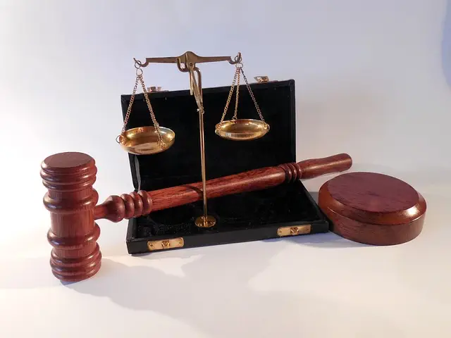 lawyer-attorney-law-judge-640x480-12882322.jpeg