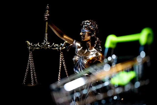 lawyer-attorney-law-judge-640x480-15880750.jpeg