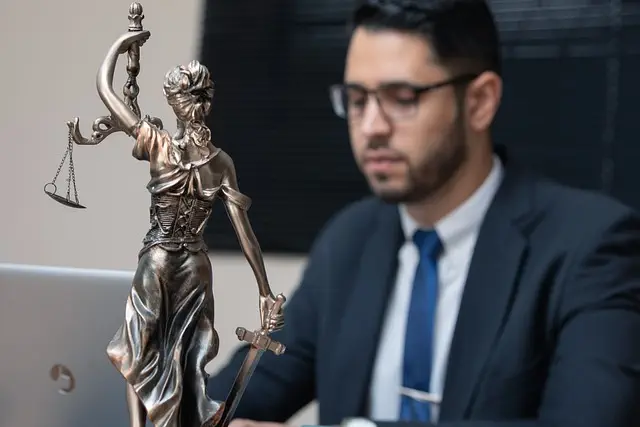 lawyer-attorney-law-judge-640x480-4892868.jpeg