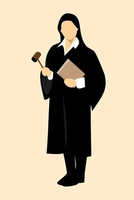 lawyer-attorney-law-judge-640x480-73444493.jpeg