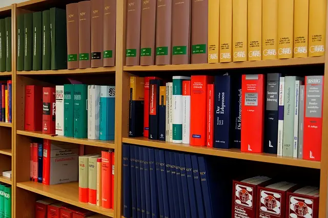 lawyer-attorney-law-judge-640x480-74884865.jpeg