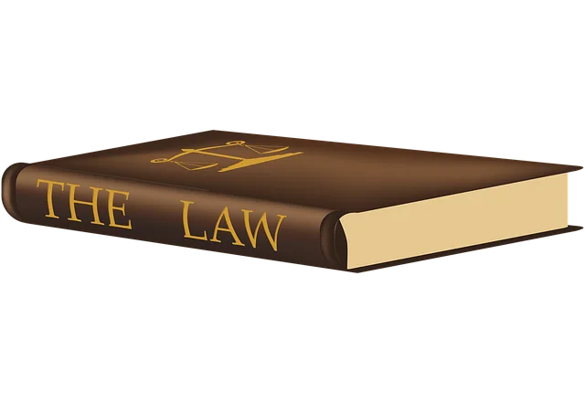 lawyer-attorney-law-judge-640x480-84623419.png