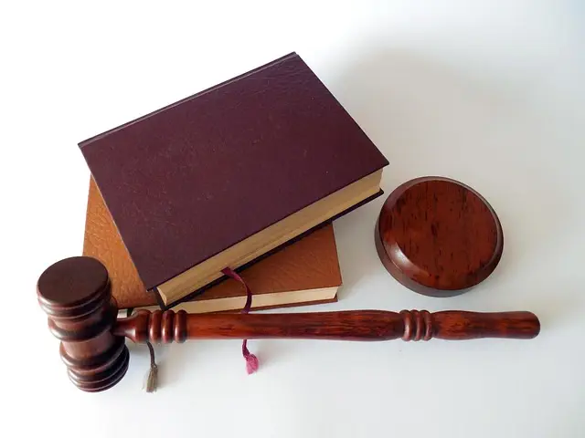 lawyer-attorney-law-judge-640x480-8900558.jpeg