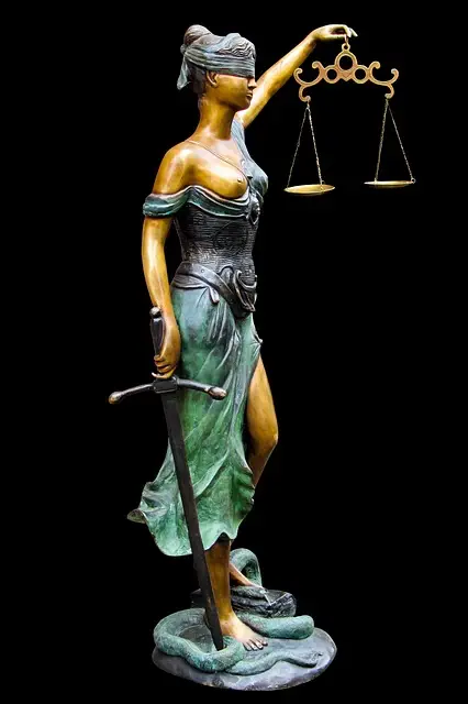 lawyer-attorney-law-judge-640x480-34861945.jpeg